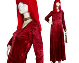 'Forbidden Fruit' 1960s Vintage hippie crush velvet maxi dress / Lux hippie / RARE